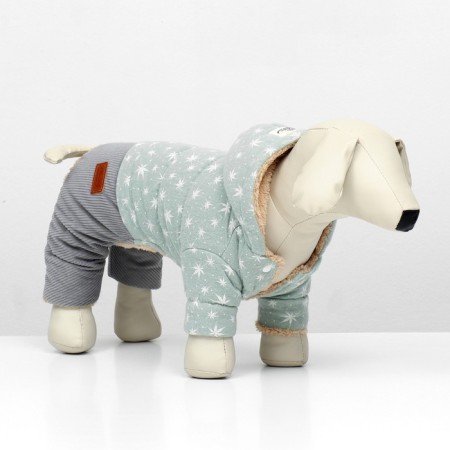 Kombinson "Walk", size S (DS 24, OG 38, Osh 27 cm, up to 4 kg), gray-green-1
