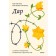 Gift. 12 keys to internal release and gaining oneself. Edith Eva Eger, Esme Shvall-Weigand