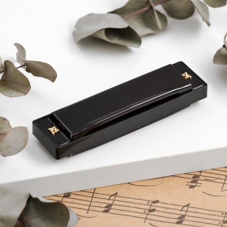 Music Life's Harry, Diatonic, C-Major, with Case, Black-2