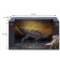 Dinosaurian figure "World of dinosaurs: Ankilosaurus"