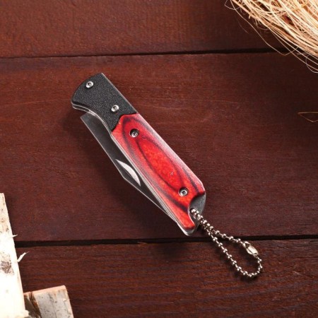 Folding "hunter" 15.8 cm, blade 72mm/1.8 mm, with a chain-2