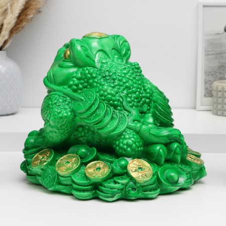 Piggy bank "Toad on money" Green, 22x25x23cm-3