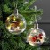 A set of Christmas tree balls “Fine spruce and berries” 2 pcs., Batteries, 5 LED, glow warm white