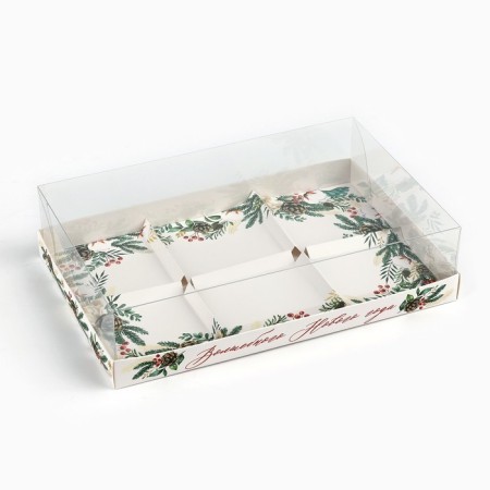 Box for Musser cakes "Magic New Year", 27 x 17.8 x 6.5 cm, New Year-1