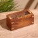 Bowling game "Bowling" 15x6x7 cm, tree shisham