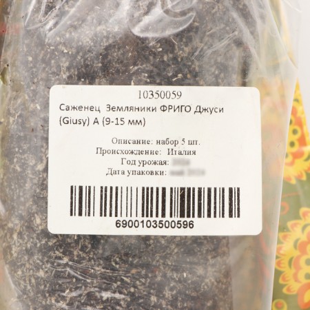 Frigi Jusi Strawberry seedlings (Giusy) a (9-15 mm), 5 pcs-3