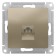 SETLASDESIGN, computer, RJ45, mechanism, champagne color