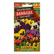 Viola flower seeds 