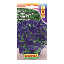 Petunia Semyon of the Jacondance Mini F1 Blue velvet, 7 pcs