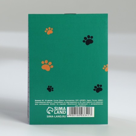 Mix of Notepad A7 16 sheets “Cat. February 23"-12