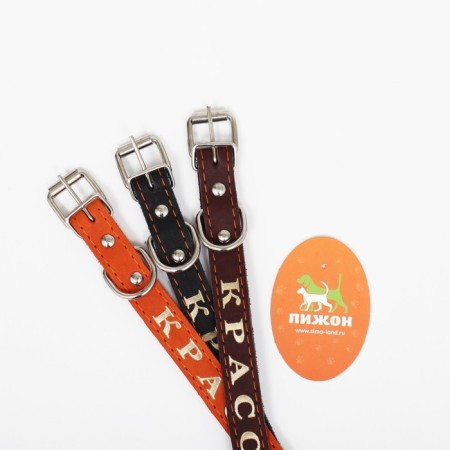 Collar leather single-layer, embossed "beauty", 48 x 2 cm, Osh 32-43 cm, mix of flowers-8