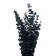 Sukhotzet "eucalyptus tree", green, 10 pcs. packaged