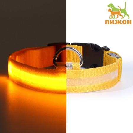 Collar with backlight size XL, Osh 52-60 x 2.5 cm, 3 glow modes yellow