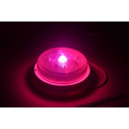Fitolamps for mini tombs "Misam" 50W-2