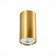 Ceiling lamp ST LUCE. ST110.207.01. 1x50 W, GU10, 5.4x5.4x10 cm, golden color