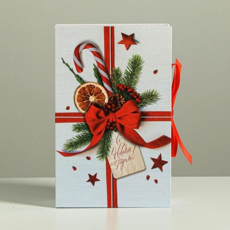 Box - Kniga "Happiness!", 20 x 12.5 x 5 cm, New Year-2