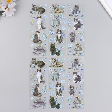 Stickers for creativity "Gray cats and blue flowers" set of 6 sheets 18x6 cm-1