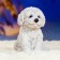 Garden figure "Puppy of the Westhelend Terrier" 14x11cm