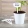 Garden signs for marking, 20 cm, set 10 pcs., Plastic, white, Greengo