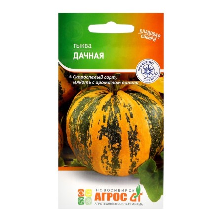 Seeds of Pumpkin "Summary" 5pcs* CS