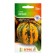 Seeds of Pumpkin "Summary" 5pcs* CS