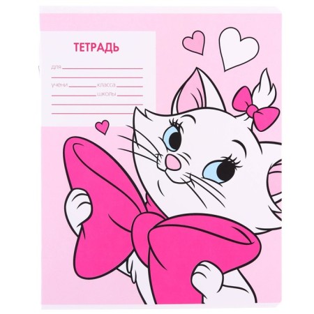 Notebook in a large cage 12 sheets, 5 types of mix, cover coated cardboard, cats aristocrats-10
