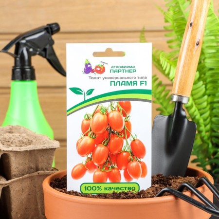 Seeds Tomat "Flame", F1, 10 pcs