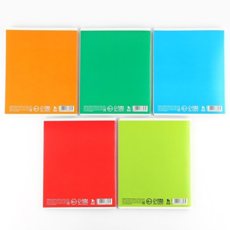 A notebook in a cage, 48 sheets A5 on a paper clip 5 pcs., Inner block No. 2 MIX “September 1: typical student” Twin Lac, UV lacquer-8