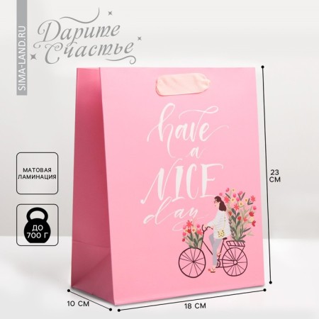 Gift laminated vertical, packaging, “have a nice day”, MS 18 x 23 x 10 cm