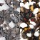 Black Sea pebbles 5 - 10 mm. Premium 3.5 kg.