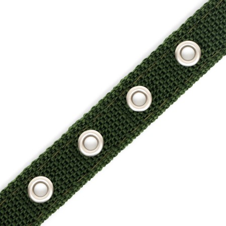 Two -layer collar with a swivel, 2 cm, green-5
