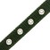 Two -layer collar with a swivel, 2 cm, green
