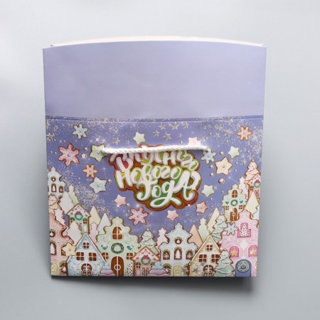 The package of the "delicious New Year", 23 x 18 x 11 cm, New Year-8