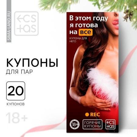 New Year's coupons for steam "New Year: this year I am ready for everything", 18+