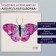 Tattoo on the body color "Watercolor butterfly" 6x6 cm