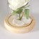 Nightlight "Rose" LED 3HAAA White 9.5x9.5x14cm