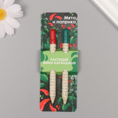 Growing gift pencils Mini "Mint and Paprika" set 2 pcs