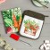Gift Green Life Set Take-Carman, Toward, Bubble