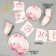 Set of paper dishes disposable delicate peonies "