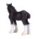 Figure Konik "Shayrian foal"