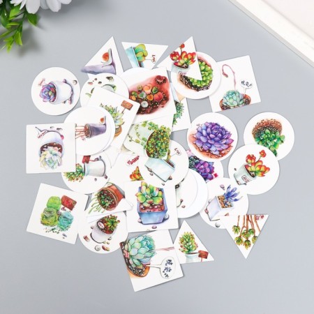 Set of stickers "succulents" 40 pcs in a box of 3.8x3.8 cm