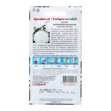 Flowers of Astra "Voronezh White", Euro, 0.2 g-1