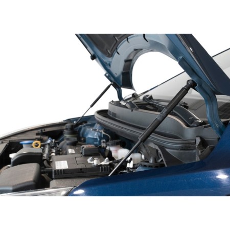 Copes of the hood Auto-unit for Kia Rio III 2011-2015 2015-2017, 2 pcs., Ukirio012-1