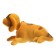 Dog on a car panel shocking his head, small, beige color