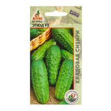Cucumber seeds 