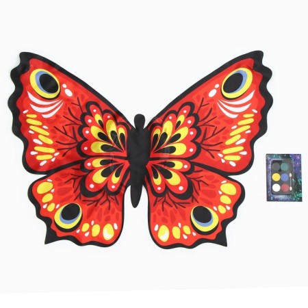 Carnival set "Beautiful butterfly" cape, makeup-7