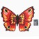 Carnival set "Beautiful butterfly" cape, makeup