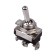 Tumbker 250V 10A (3C) On-off-on single-pole mini (ASW-23) Rexant
