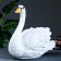 Piggy bank "Swan medium white" 44x20x38.5cm