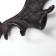 Decorative metal hooks "elk horns" 22x35x9 cm